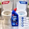 toilet cleaner before after ShineOra Toilet Cleaner β 500 ml
